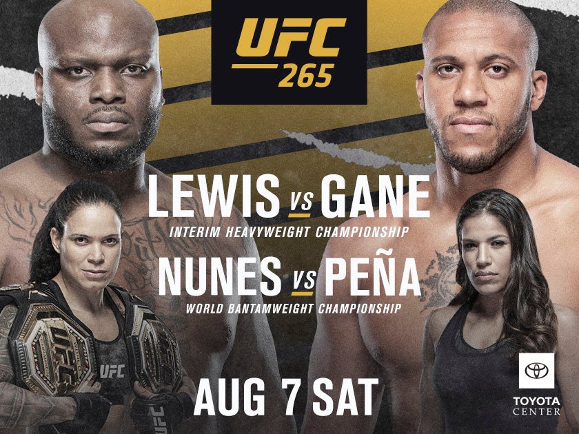 UFC 265 Houston Toyota Center