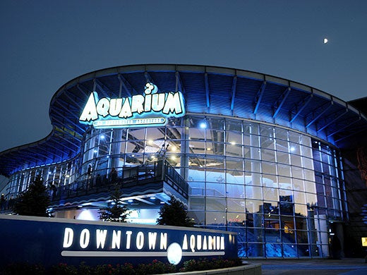 Downtown Aquarium 